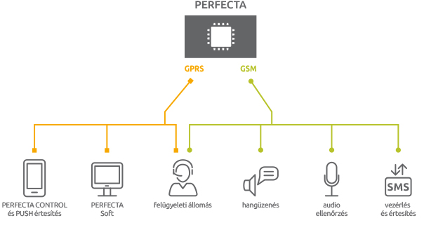 PERFECTA - cechy